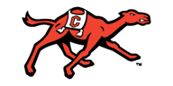 Campbell Fighting Camels
