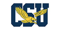 Coppin State Eagles