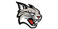 Davidson Wildcats