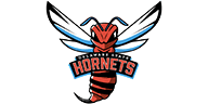 Delaware State Hornets