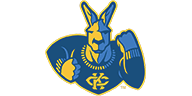 Kansas City Roos